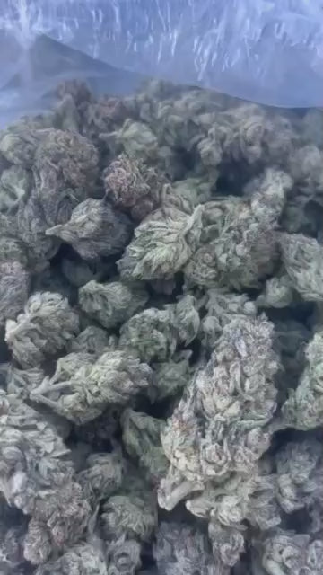 Canal Street Runtz THCa